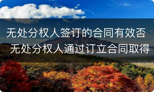 无处分权人签订的合同有效否 无处分权人通过订立合同取得处分权的合同