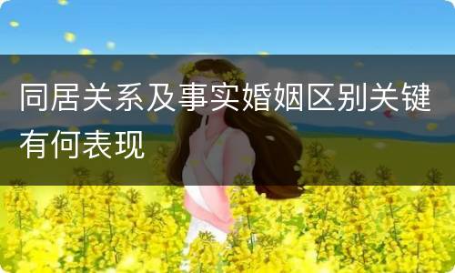 同居关系及事实婚姻区别关键有何表现