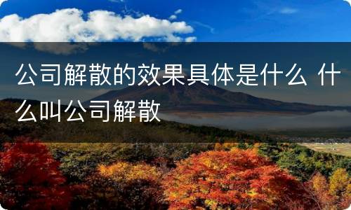 公司解散的效果具体是什么 什么叫公司解散