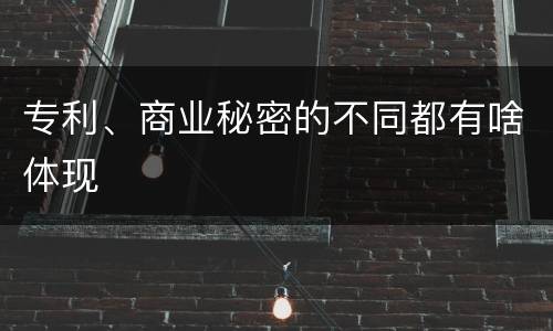 专利、商业秘密的不同都有啥体现