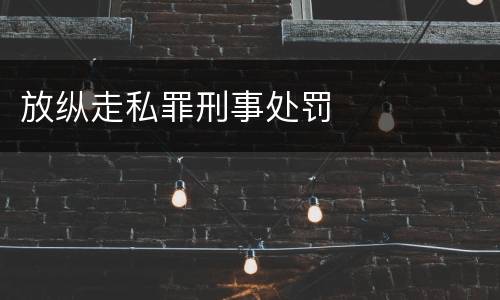 放纵走私罪刑事处罚
