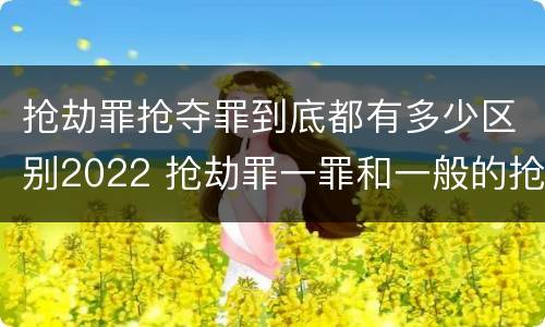 抢劫罪抢夺罪到底都有多少区别2022 抢劫罪一罪和一般的抢劫罪