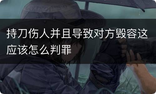 持刀伤人并且导致对方毁容这应该怎么判罪