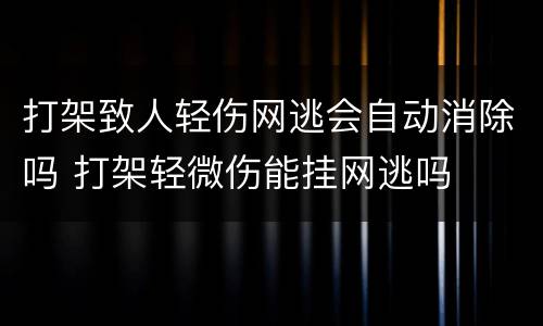 打架致人轻伤网逃会自动消除吗 打架轻微伤能挂网逃吗