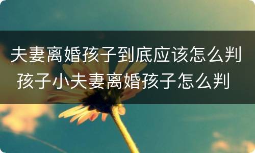 夫妻离婚孩子到底应该怎么判 孩子小夫妻离婚孩子怎么判