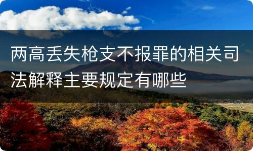 两高丢失枪支不报罪的相关司法解释主要规定有哪些