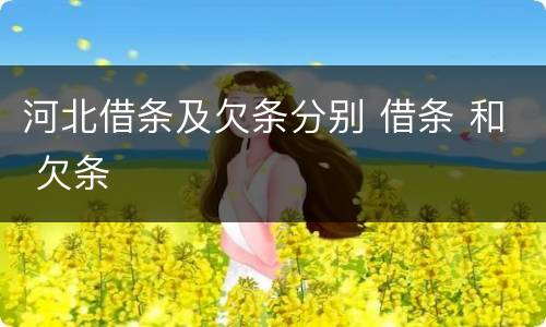 河北借条及欠条分别 借条 和 欠条