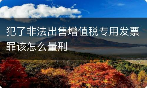 犯了非法出售增值税专用发票罪该怎么量刑