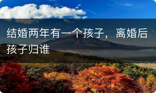 结婚两年有一个孩子，离婚后孩子归谁