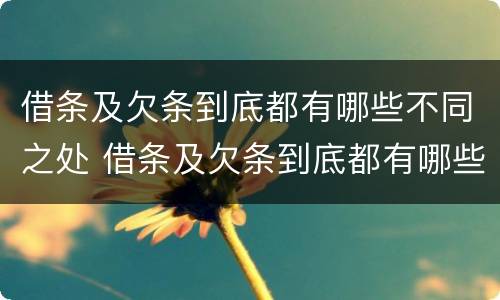 借条及欠条到底都有哪些不同之处 借条及欠条到底都有哪些不同之处怎么写