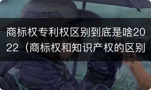 商标权专利权区别到底是啥2022（商标权和知识产权的区别）