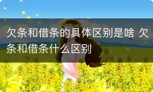 欠条和借条的具体区别是啥 欠条和借条什么区别