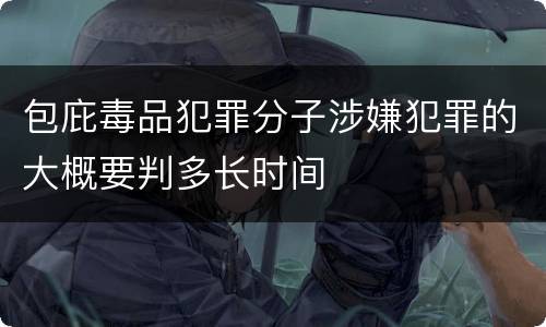 包庇毒品犯罪分子涉嫌犯罪的大概要判多长时间