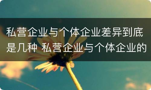 私营企业与个体企业差异到底是几种 私营企业与个体企业的区别