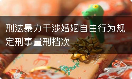 刑法暴力干涉婚姻自由行为规定刑事量刑档次