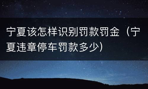 宁夏该怎样识别罚款罚金（宁夏违章停车罚款多少）