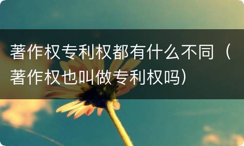 著作权专利权都有什么不同（著作权也叫做专利权吗）
