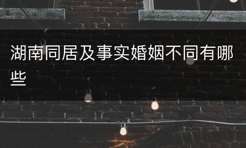 湖南同居及事实婚姻不同有哪些