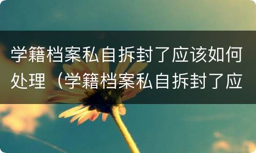 学籍档案私自拆封了应该如何处理（学籍档案私自拆封了应该如何处理呢）