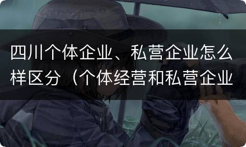 四川个体企业、私营企业怎么样区分（个体经营和私营企业的区别）