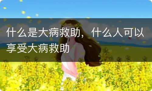 什么是大病救助，什么人可以享受大病救助