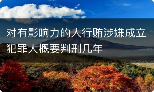 对有影响力的人行贿涉嫌成立犯罪大概要判刑几年