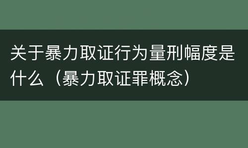 关于暴力取证行为量刑幅度是什么（暴力取证罪概念）