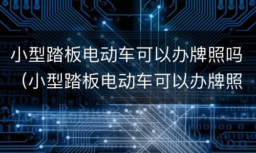 小型踏板电动车可以办牌照吗（小型踏板电动车可以办牌照吗多少钱）
