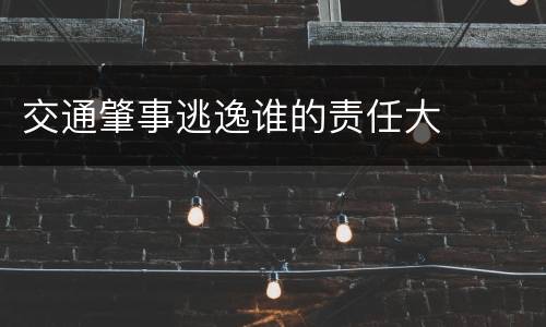 交通肇事逃逸谁的责任大