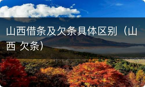山西借条及欠条具体区别（山西 欠条）
