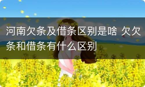 河南欠条及借条区别是啥 欠欠条和借条有什么区别