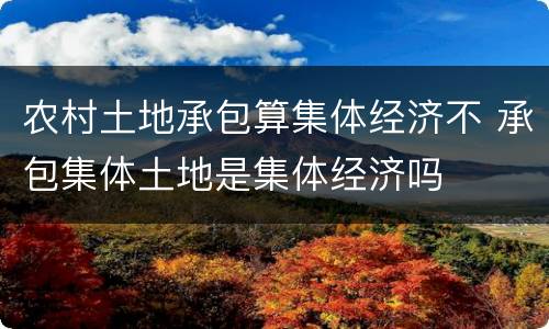 农村土地承包算集体经济不 承包集体土地是集体经济吗