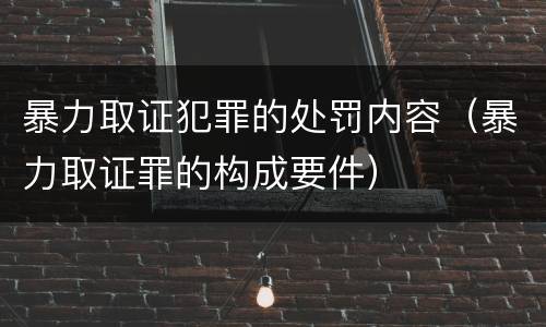 暴力取证犯罪的处罚内容（暴力取证罪的构成要件）