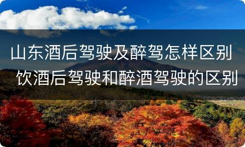 山东酒后驾驶及醉驾怎样区别 饮酒后驾驶和醉酒驾驶的区别