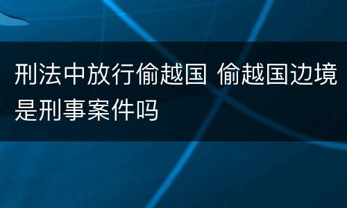 刑法中放行偷越国 偷越国边境是刑事案件吗