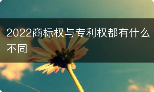 2022商标权与专利权都有什么不同