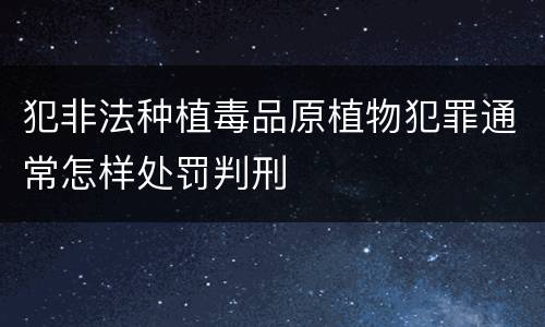 犯非法种植毒品原植物犯罪通常怎样处罚判刑