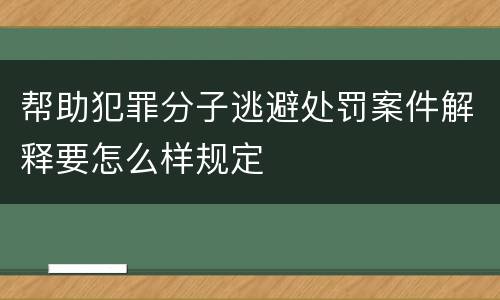 帮助犯罪分子逃避处罚案件解释要怎么样规定