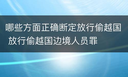 哪些方面正确断定放行偷越国 放行偷越国边境人员罪