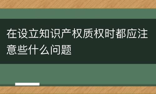 在设立知识产权质权时都应注意些什么问题