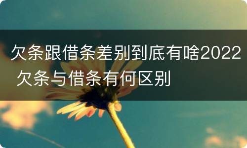 欠条跟借条差别到底有啥2022 欠条与借条有何区别