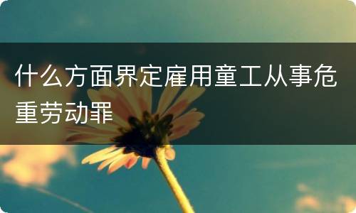 什么方面界定雇用童工从事危重劳动罪