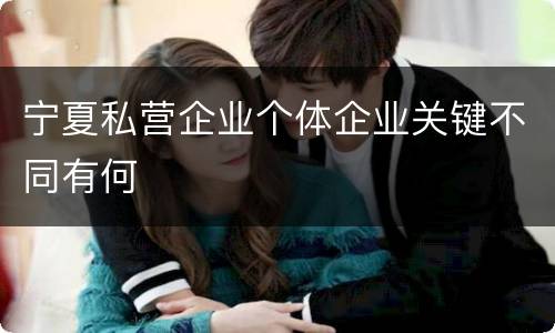 宁夏私营企业个体企业关键不同有何