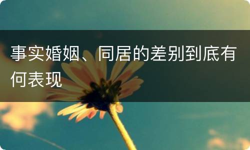 事实婚姻、同居的差别到底有何表现