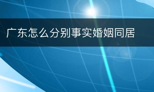 广东怎么分别事实婚姻同居