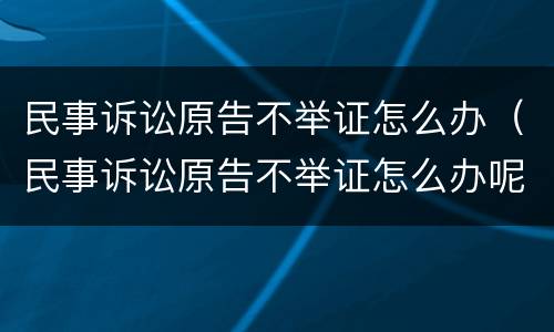 民事诉讼原告不举证怎么办（民事诉讼原告不举证怎么办呢）