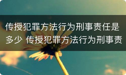 传授犯罪方法行为刑事责任是多少 传授犯罪方法行为刑事责任是多少年