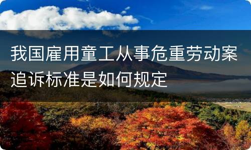 我国雇用童工从事危重劳动案追诉标准是如何规定