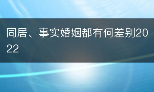 同居、事实婚姻都有何差别2022