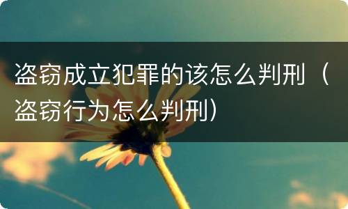 盗窃成立犯罪的该怎么判刑（盗窃行为怎么判刑）